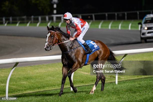 Handsome Thief ridden by Brad Rawiller returns after winning the ADAPT Australia Handicap at Moonee Valley Racecourse on March 24, 2017 in Moonee...
