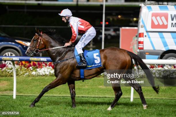 Handsome Thief ridden by Brad Rawiller returns after winning the ADAPT Australia Handicap at Moonee Valley Racecourse on March 24, 2017 in Moonee...