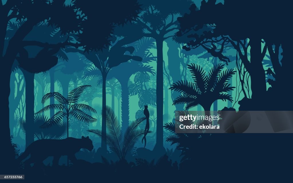 Vector evening tropical rainforest Jungle background with jaguar, sloth, monkey and qetzal