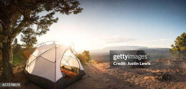 tent camping under a pinon tree in the desert, first morning light and a campfire - tent stock-fotos und bilder