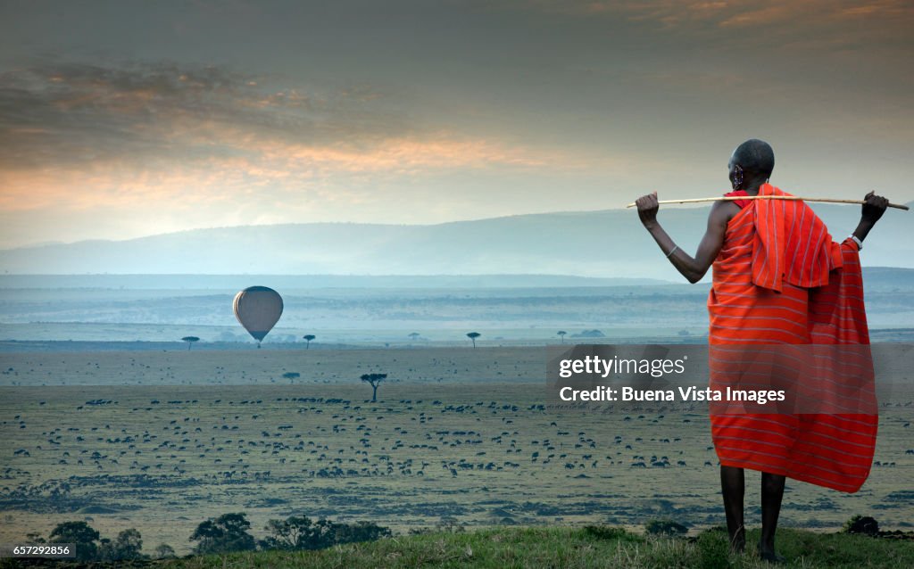 Masai man watching a hot-air balloon over the savannah