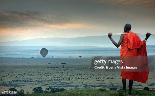 masai man watching a hot-air balloon over the savannah - quênia - fotografias e filmes do acervo