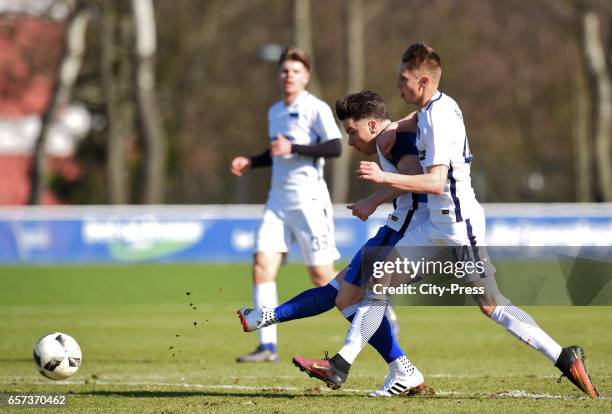 Alexander Baumjohann of Hertha BSC and Palko Dardai of Hertha U23 during the test match between Hertha BSC and Hertha U23 on March 24, 2017 in...