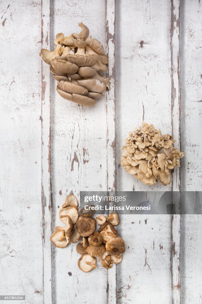 Assorted mushroom on wood