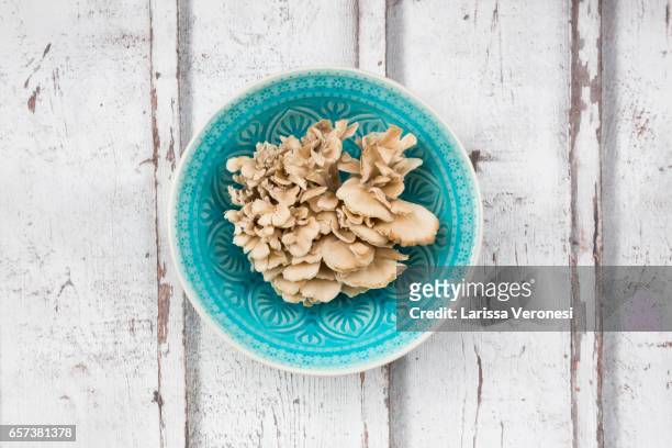 maitake mushroom on wood (grifola frondosa) - klapperschwamm stock-fotos und bilder
