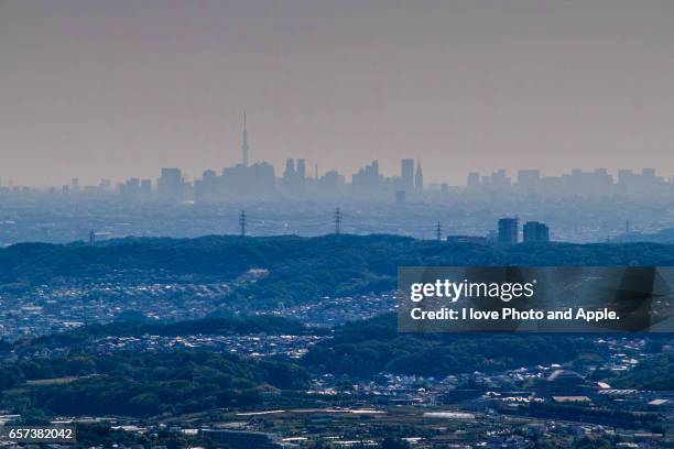 tokyo city view from mount takao - 東京都庁舎 stock pictures, royalty-free photos & images