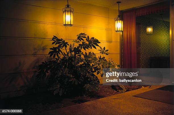 lights above plants - garden lighting stock pictures, royalty-free photos & images