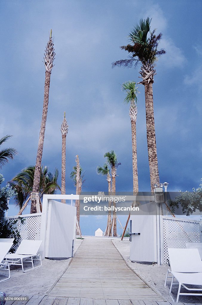 Beach Chairs on Deck