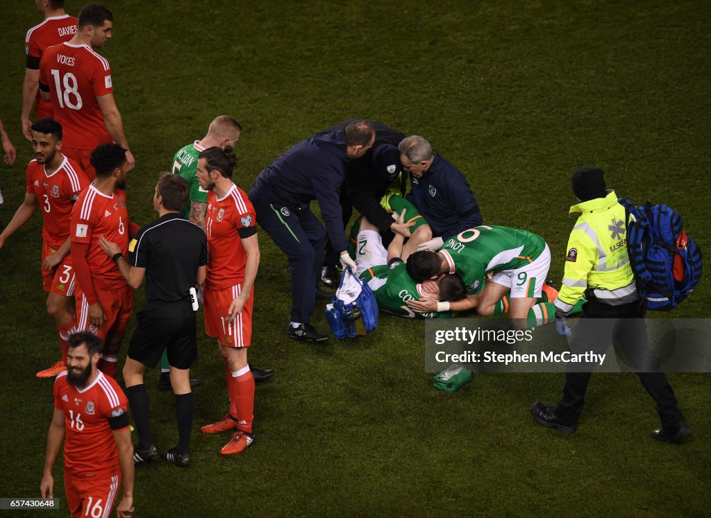 Republic of Ireland v Wales - FIFA World Cup Qualifier Group D