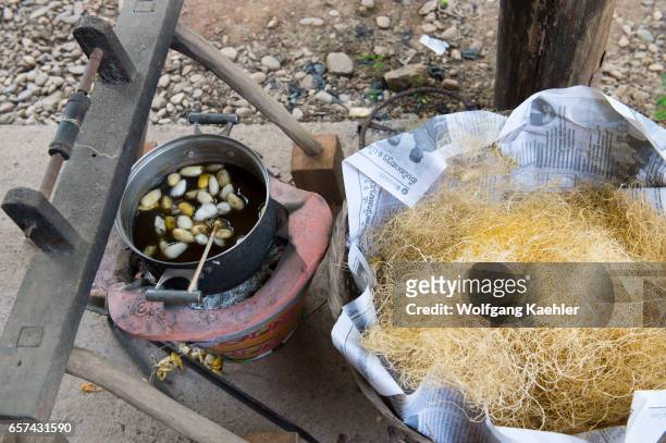 Raw silk and silkworm cocoons are made of a thread of raw silk from 300 to about 900 m long on a tray in Ban Xang Khong, a village near Luang Prabang...