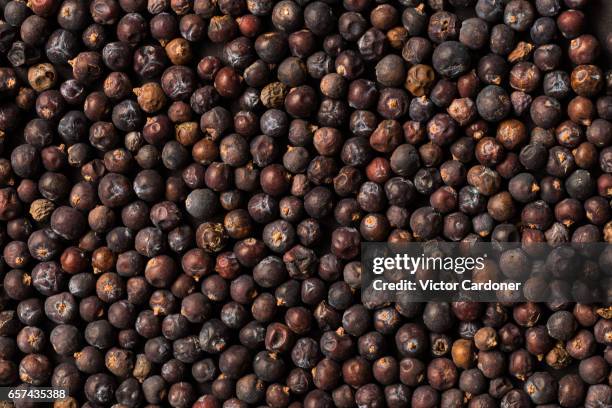 texture of juniper berries - wacholderbeeren stock-fotos und bilder