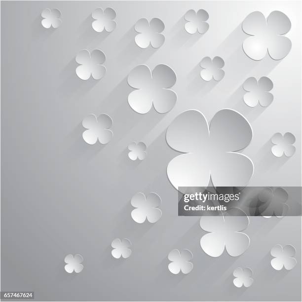 white flowers on a white background - chamomile tea white background stock illustrations