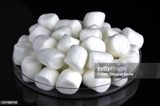 close-up of white marshmallows (althaea officinalis) - marsh mallow plant stock pictures, royalty-free photos & images