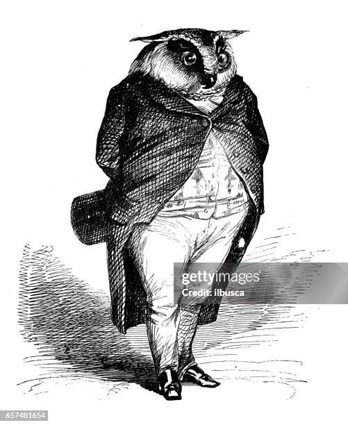 stockillustraties, clipart, cartoons en iconen met gehumaniseerd dieren illustraties: uil - gravure-illustratietechniek