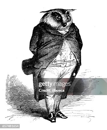 人性化動物插圖: 貓頭鷹 人性化動物插圖: 貓頭鷹