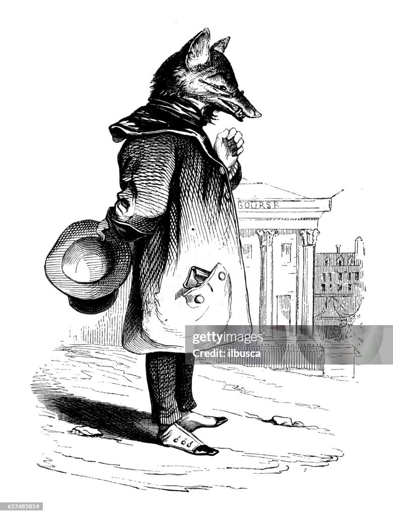 Humanized Fox Humanized Animals Illustrations Fox High-Res Vector Graphic - Getty Images
