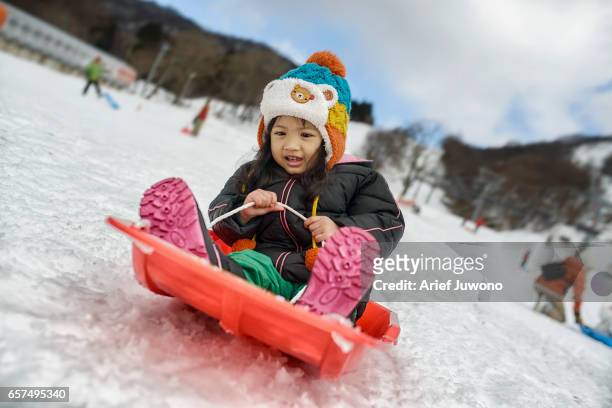snow playing - préfecture de shiga photos et images de collection