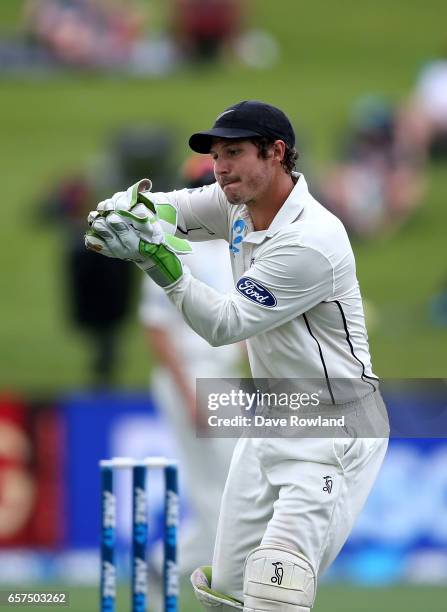 Wicketkeeper BJ Watling of New Zealand during day one of the Test match between New Zealand and South Africa at Seddon Park on March 25, 2017 in...