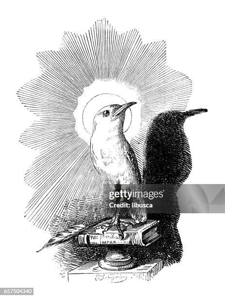 Humanized Animals Illustrations Holy Bird High-Res Vector Graphic - Getty Images Humanized Animals Illustrations Holy Bird High-Res Vector Graphic - Getty Images