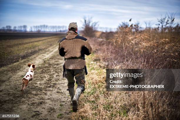 hunter in de natuur - hunting dog stockfoto's en -beelden