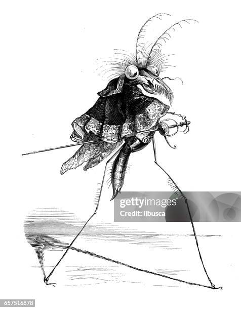 ilustraciones, imágenes clip art, dibujos animados e iconos de stock de humanizado de ilustraciones de animales: mosquetero de mosquito - musketeer