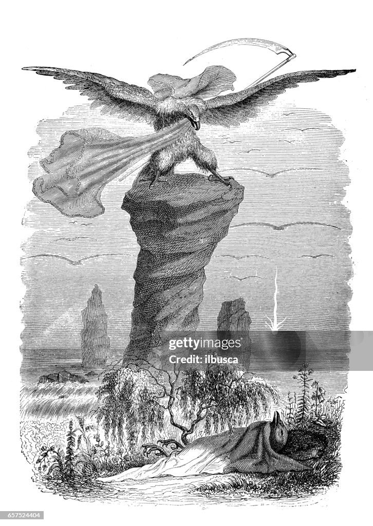 Humanized animals illustrations: Eagle grim reaper