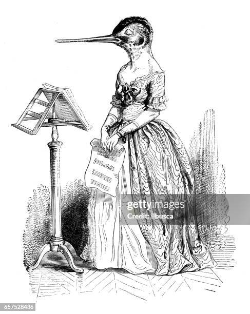 humanized animals illustrations: bird singer - singer isolated stock illustrations