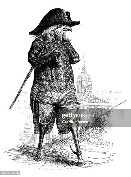 humanized animals illustrations: pirate parrot - pirate eye patch stock illustrations