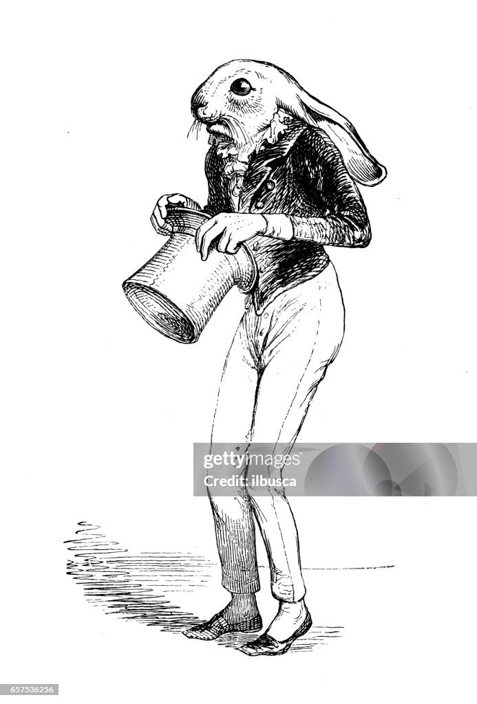 Humanized Animals Illustrations Rabbit High-Res Vector Graphic - Getty ...