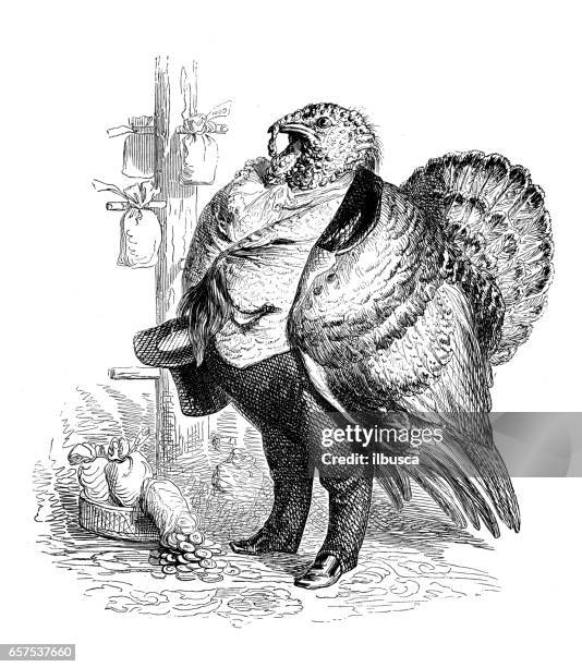 humanized animals illustrations: turkey - thanksgiving humor stock illustrations
