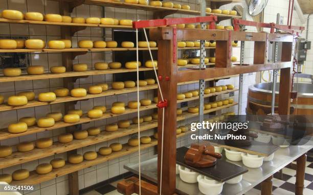 Cheese factory in the small town of Zaanse Schans, Holland, Netherlands, Europe.