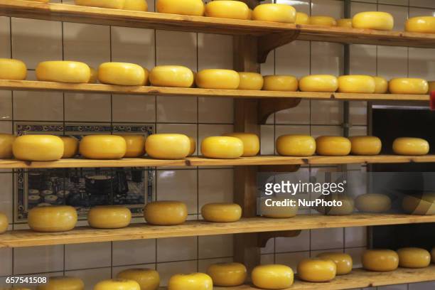 Cheese factory in the small town of Zaanse Schans, Holland, Netherlands, Europe.