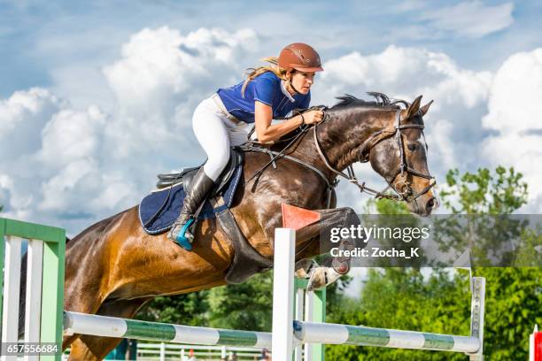 salto - caballo con jinete mujer saltando sobre el obstáculo - equestrian event fotografías e imágenes de stock