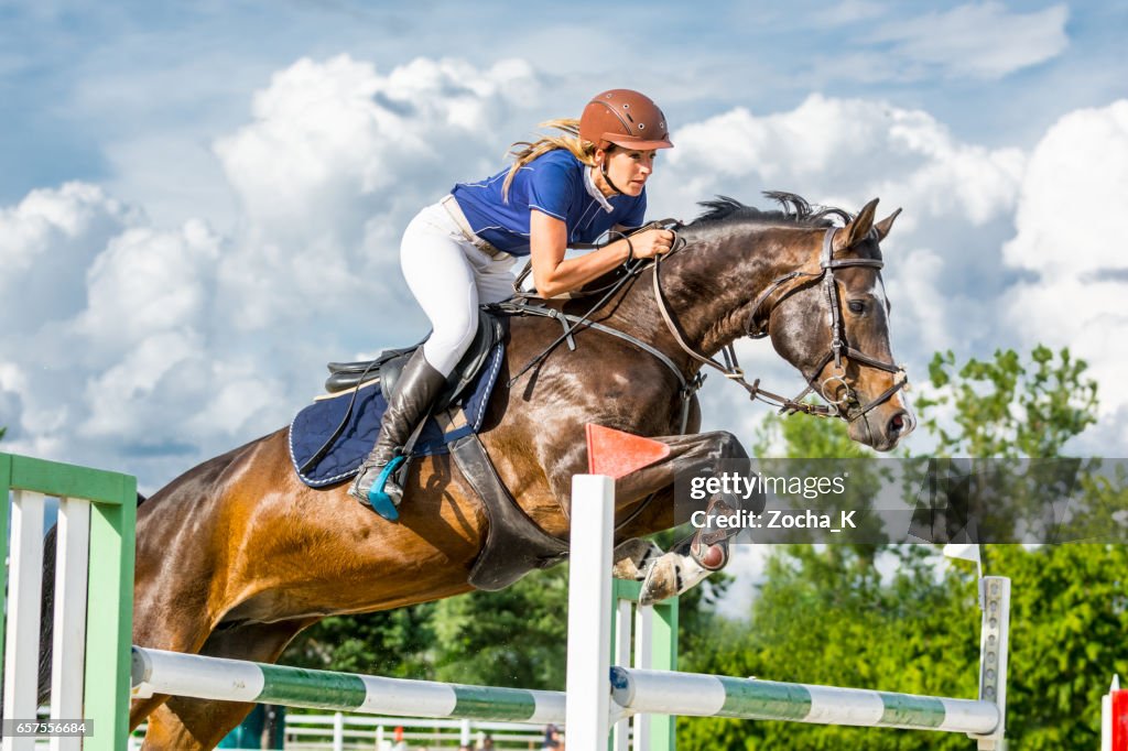 Saut d’obstacles - cheval avec femme coureur sautant par-dessus l’obstacle