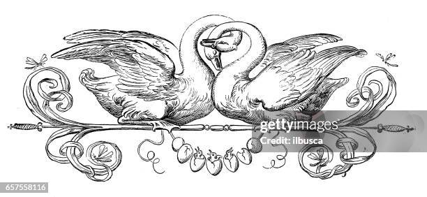 humanized animals illustrations: decoration - swan stock illustrations