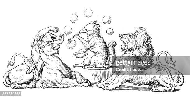 humanized animals illustrations: decoration - lion cub stock illustrations