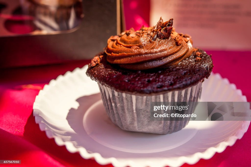 Chocolate Cupcake with edible Mexican Chapulines (grasshoppers)