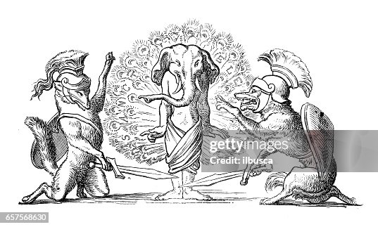 Humanized animals illustrations: Decoration Humanized animals illustrations: Decoration