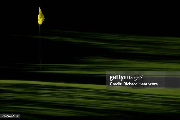 View of the green on the 2nd hole during round four of the World Golf Championships-Dell Technologies Match Play at the Austin Country Club on March...