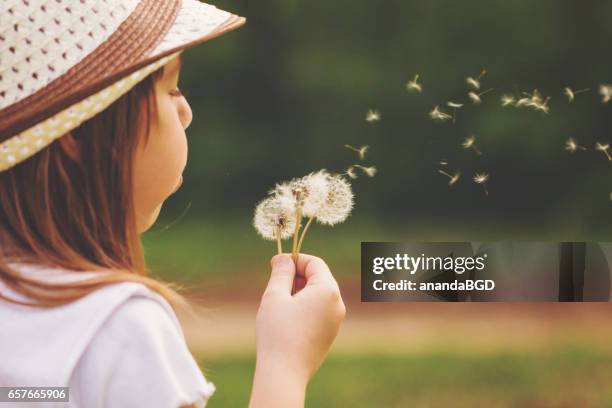 girl - may in the summer stock pictures, royalty-free photos & images