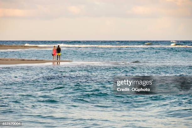 interratial 夫婦在美麗的海灘上行走 - ogphoto 個照片及圖片檔