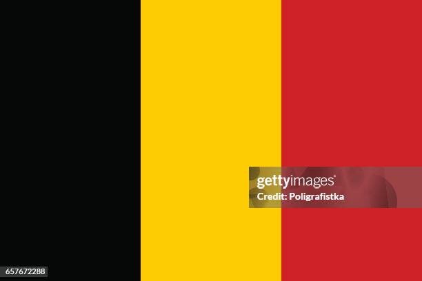 stockillustraties, clipart, cartoons en iconen met vlag van belgië - belgium flag