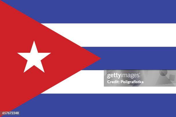 flag of cuba - cuban flag stock illustrations