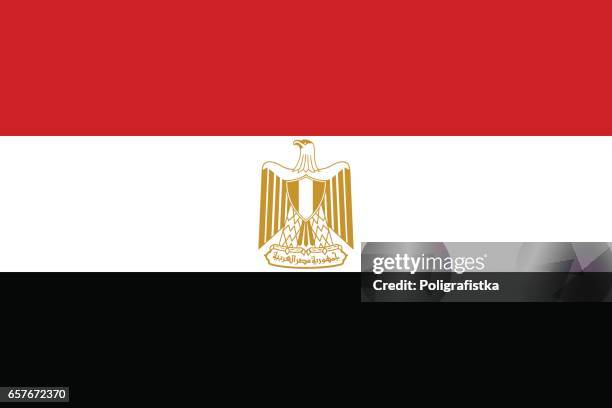 flag of egypt - egypt stock illustrations