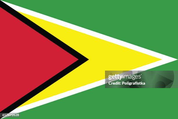flag of guyana - guyana flag stock illustrations