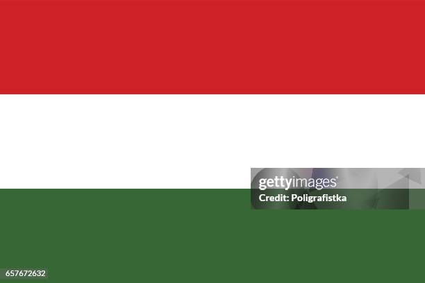 flagge von ungarn - ungarn stock-grafiken, -clipart, -cartoons und -symbole