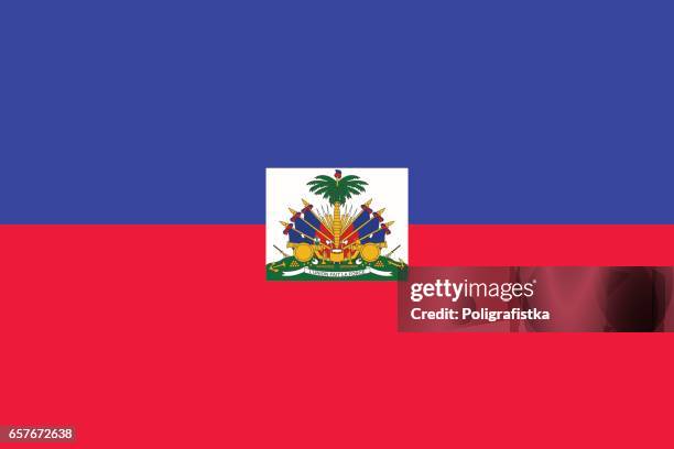 flag of haiti - haiti stock illustrations