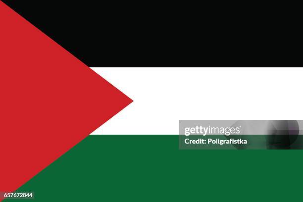 flagge des staates palästina - palästinensische flagge stock-grafiken, -clipart, -cartoons und -symbole