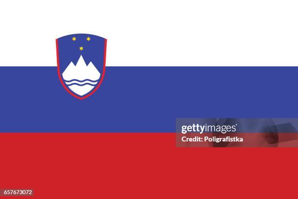 flag of slovenia - slovenia flag stock illustrations