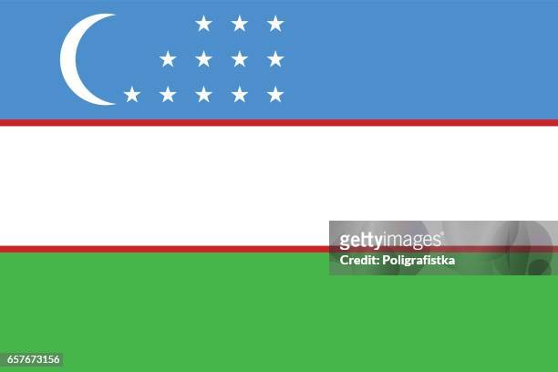 flagge von usbekistan - uzbekistan stock-grafiken, -clipart, -cartoons und -symbole
